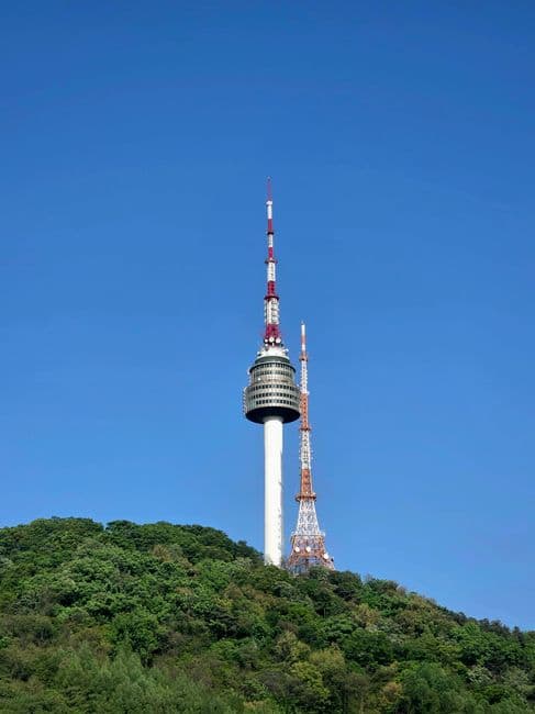 소파로에 숨은 남산 돈까스